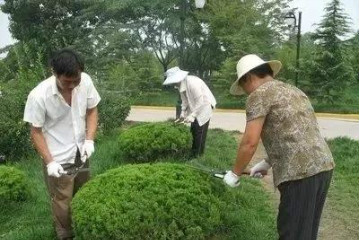 圖片加載失敗